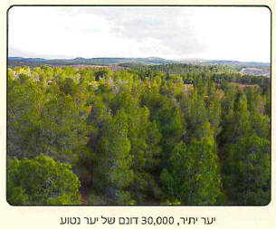 (בספר תרשים, התרשים מופיע כטקסט)
